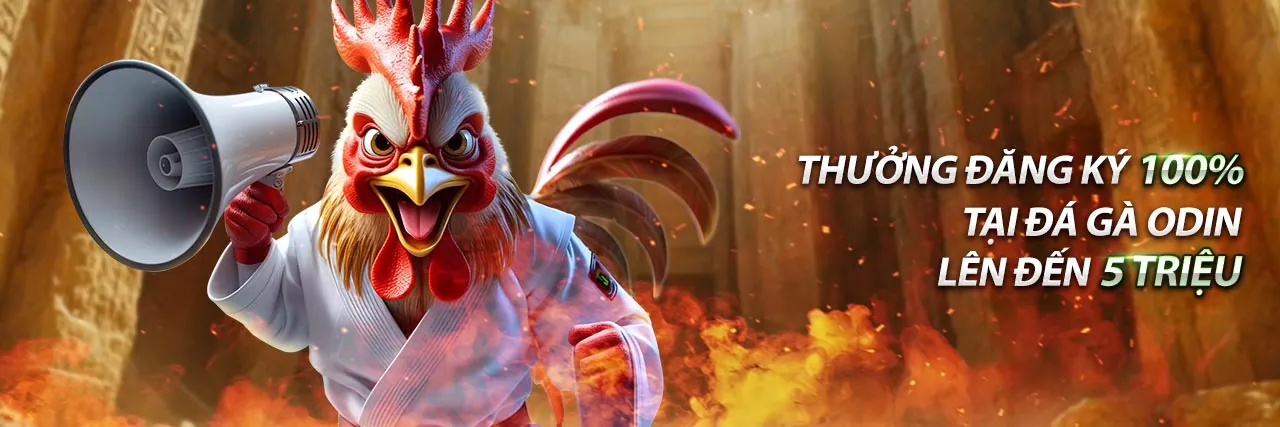 Ứng dụng kuwin best trên điện thoại